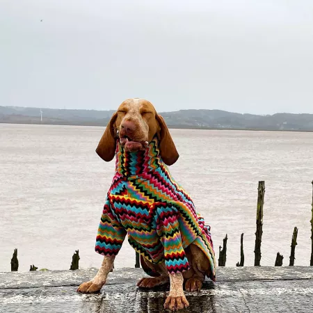 She comes in colors everywhere. by clorista