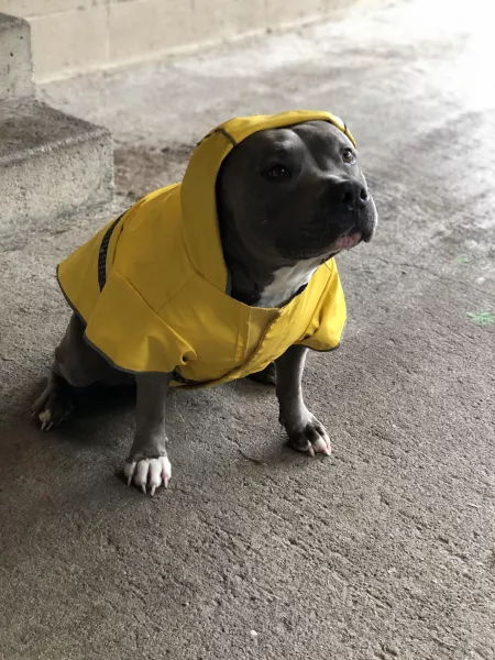 She is style, she is grace by Swooshtastic