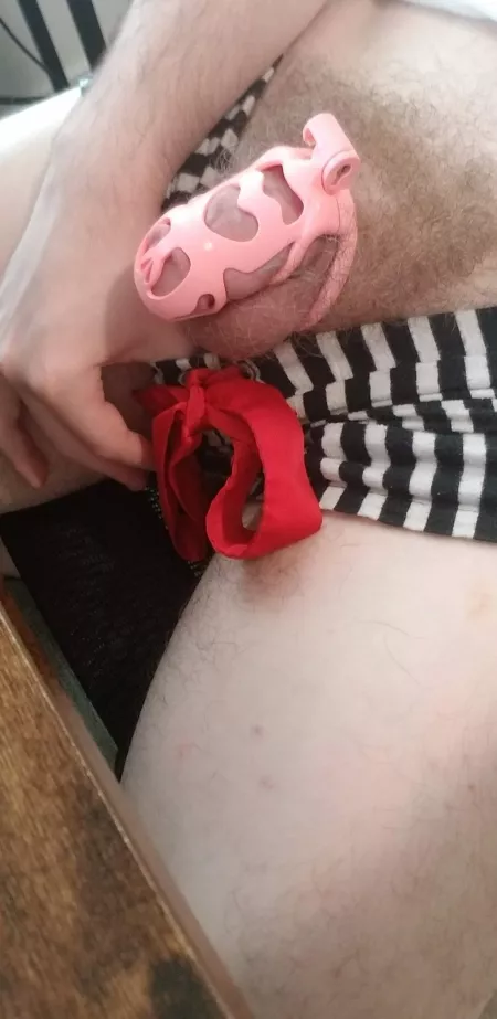 She locked me up for the first time. How long should I stay like this? by Throwaway38967