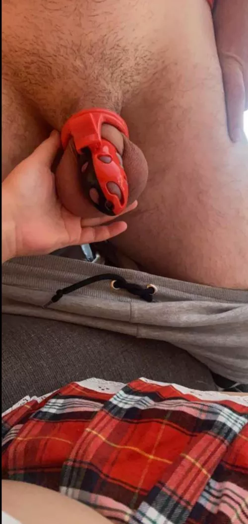 She owns me by Cuck_intraining