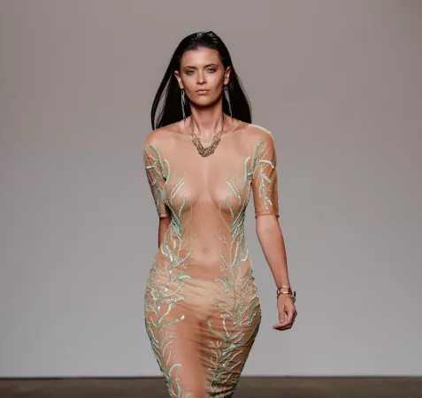 Sheer dress by emilyguy