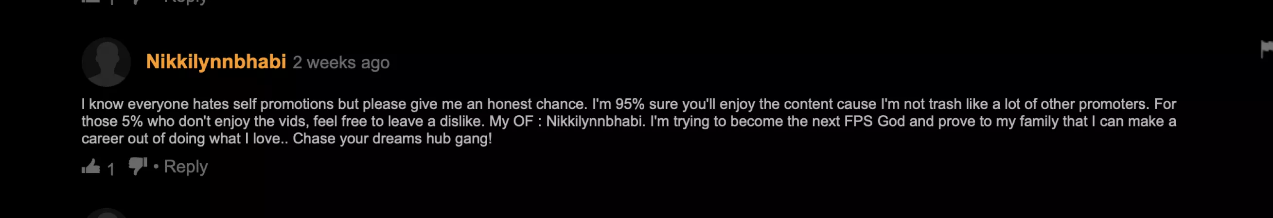 She's a bit wrong wrong but she got that spirit of promotion by No-Incident-8718