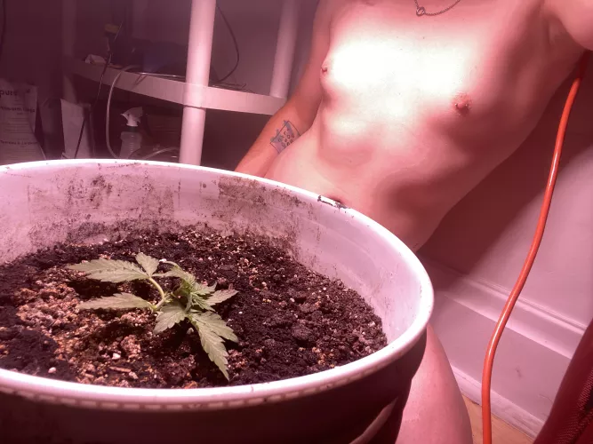 She’s bent over and tied down, will you do the same to me? [MtF] by SlaylaDJ