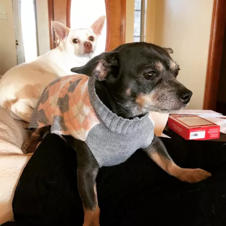 She’s feeling herself in her new sweater by sharkweeek