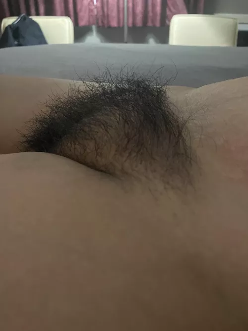 She’s so fluffy ❤️ by capi666