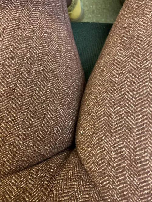 She’s warm and cozy at work today. by 1tough_cookie