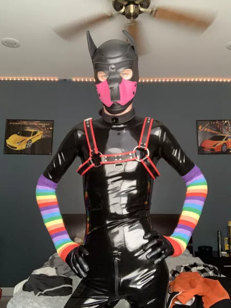 Shiny boyo by PandaRX8