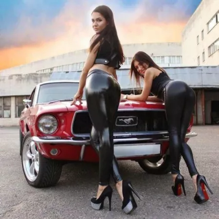 Shiny mustang aficionados by 0rangee3