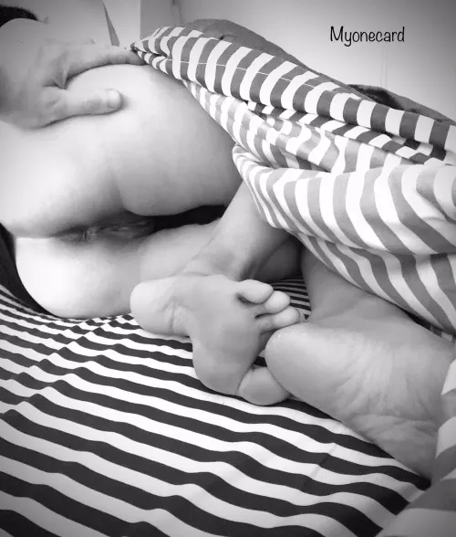 Shooters choice, will you cum on my Thai pussy, ass, or feet? by myonecard