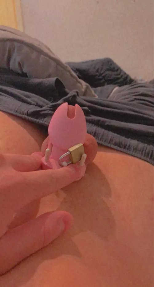 Should I be allowed out of my cage by FemboyFriday12