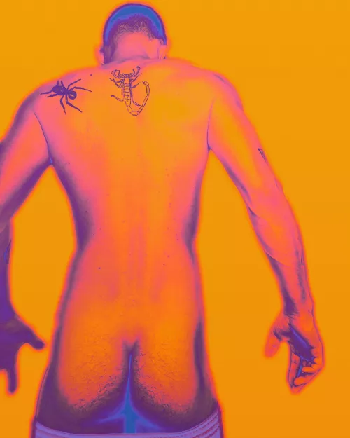 Should I do live videos? by cactus-of-the-north