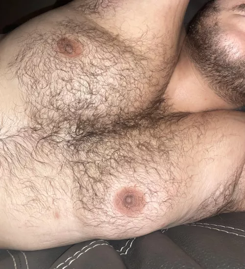 Should I keep growing my chest hair? About 6 months in by Hairbair12