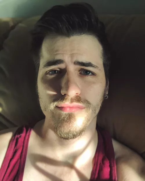 Should i let the face fur grow? by Odd-purple-flower