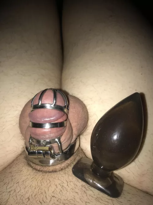 Should I put this plug in anal ?❤️🤤 by jiri32