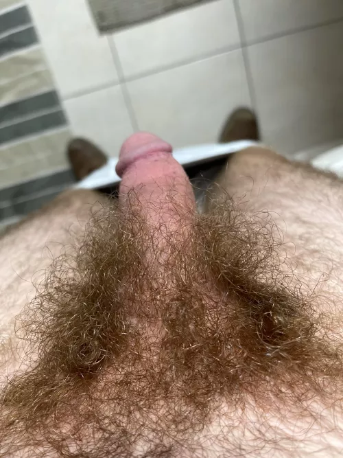 Should I shave it? 19 by SnooOranges1565