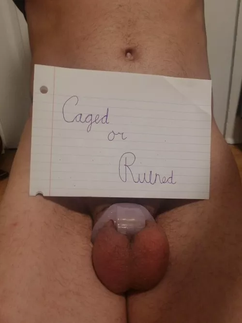 Should I stay caged after locktober or have a ruined orgasm at the end of the month? by DominiqueFemme