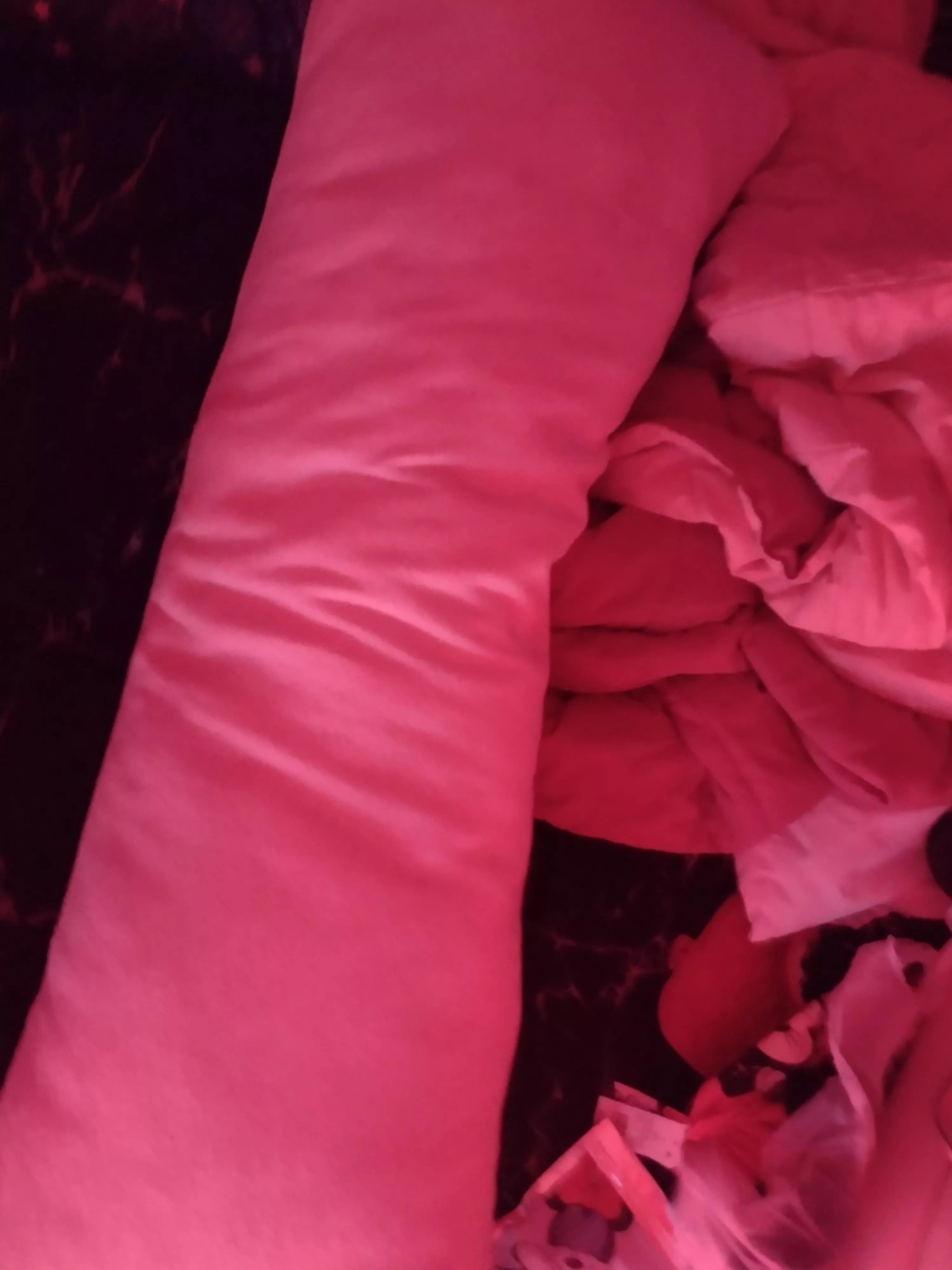 should little me hump this big pillow? 🥺 posted by Nillawafeerr