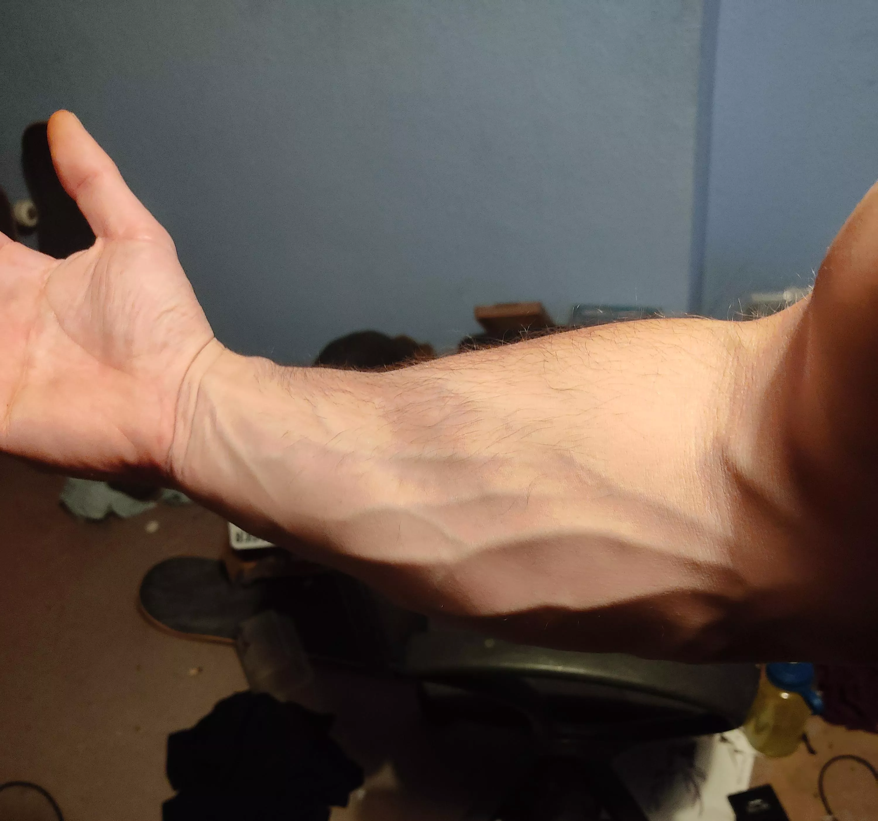Should probably use these strong forearms to tidy my room . posted by Parking-Pension9811