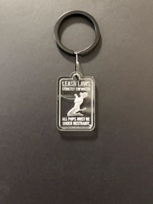 Should this law and tag be standard with pups? (I made the tag) by Sparkthepup