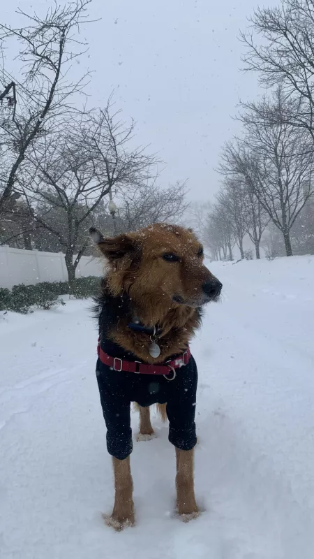 should’ve stayed in California by OfficeSpaceRocks