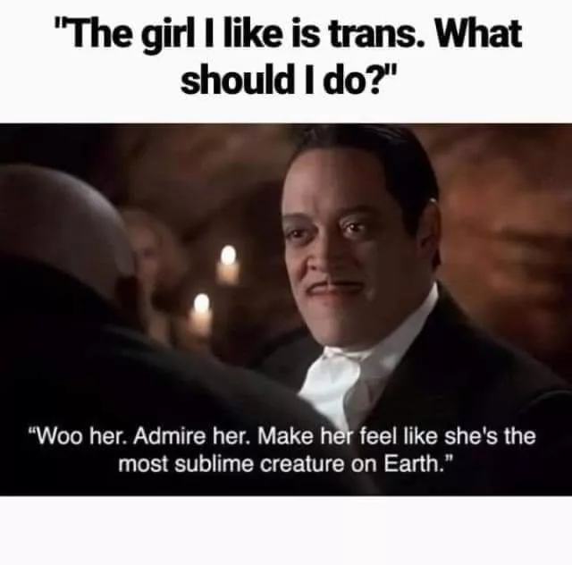 Shout out to all the trans gentle doms out there, you are valid and loved. posted by rebelwanker69