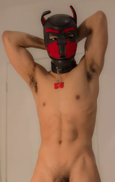 Shove your face in this pup armpits by Leowred