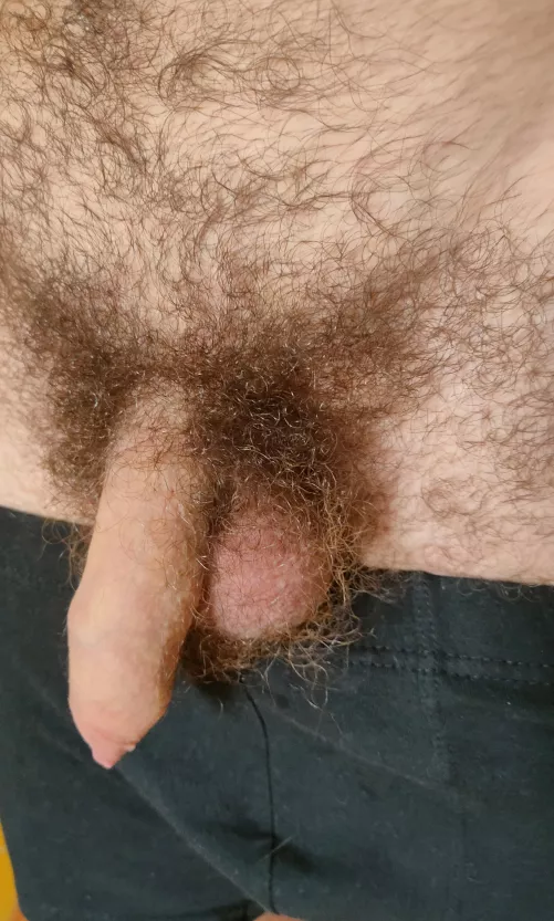 Shower fresh junk by hairyboiii