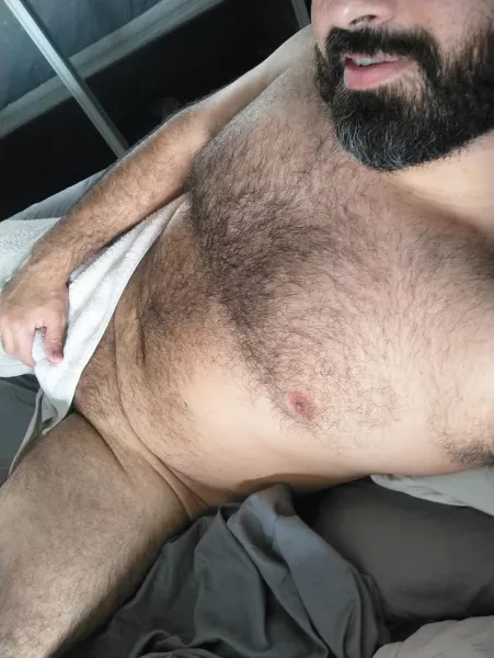 Shower fresh, relaxing in the bed. My is towel trying to run away. by Worried_Storm_7641