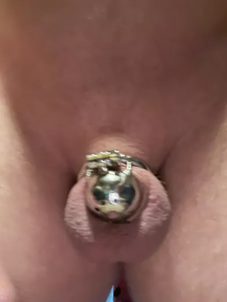 Showered and shaved and back in chastity by longhaultrucker01