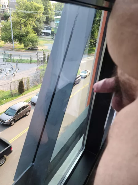 Showing off my hard throbbing cock to the street this morning. by throwawaybichub