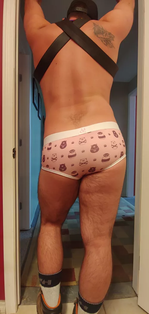 Showing off my rudderbutts by KnottyBruin