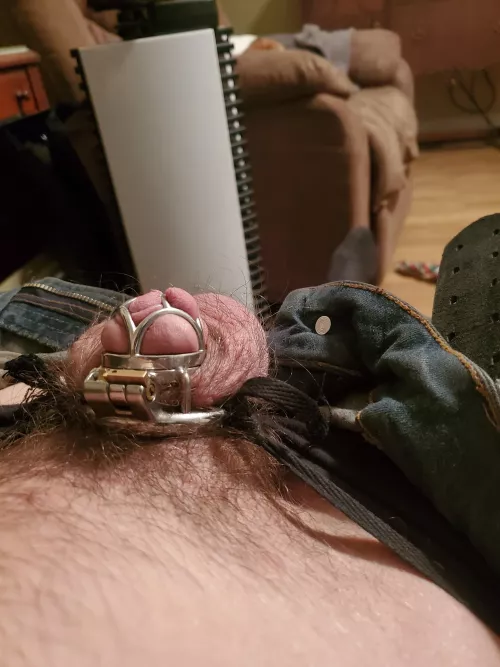 Shrinking everyday by polaris680