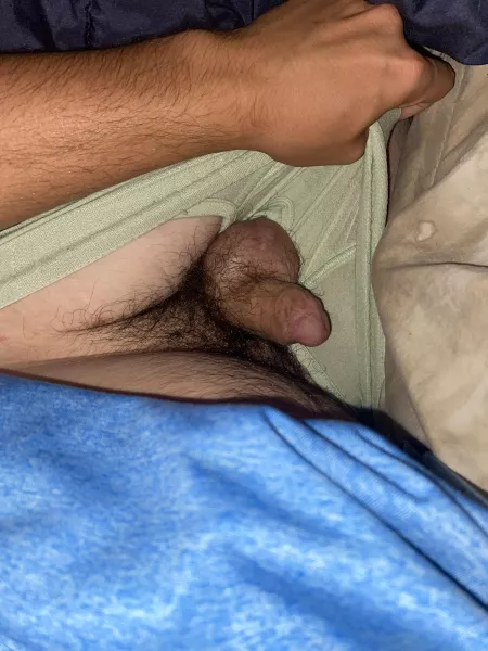 Shy and hairy[24] by rrdog51