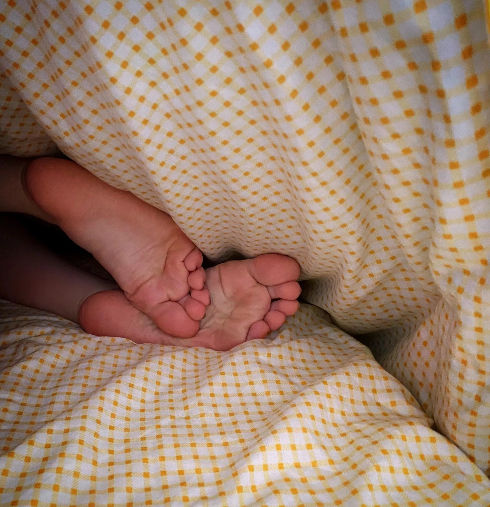 shy feet hiding under the blanket :) posted by hoemadeprincesss