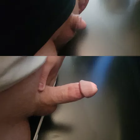 Shy vs Horny by Tomppenguin