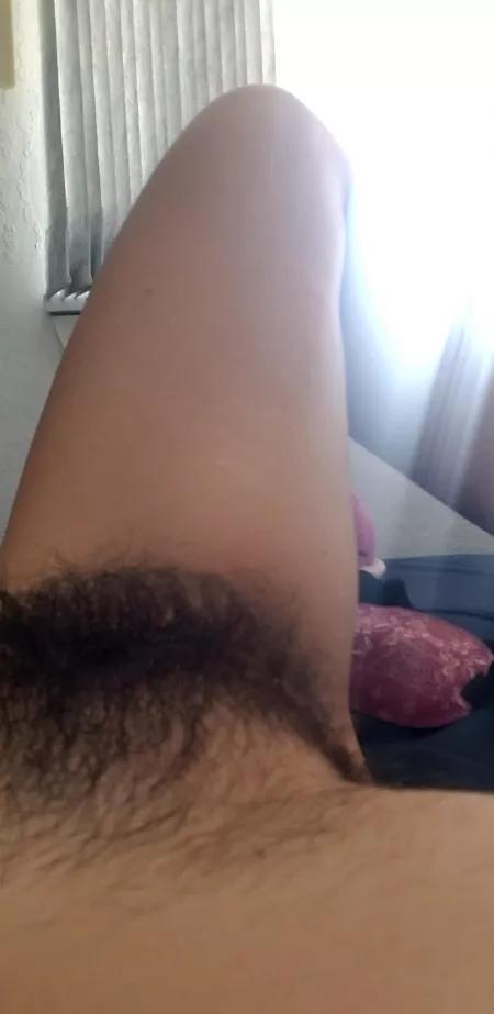 Side view of my Floof by SierraSylph