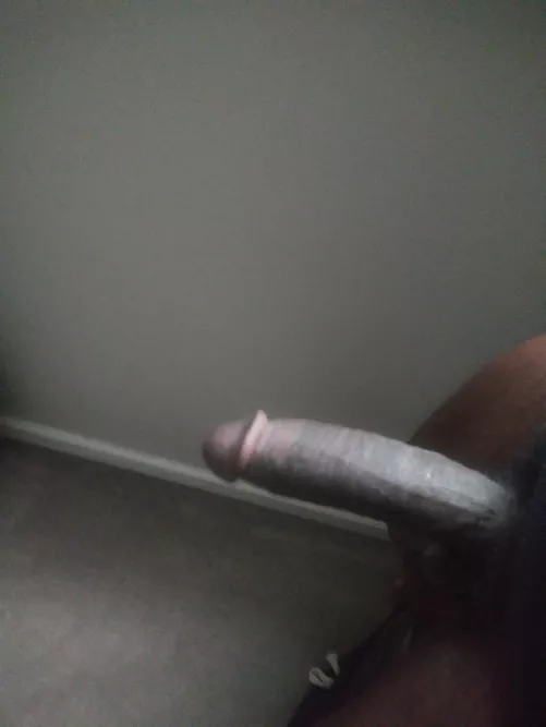 Sieze the day by THEREAL-HNIC444