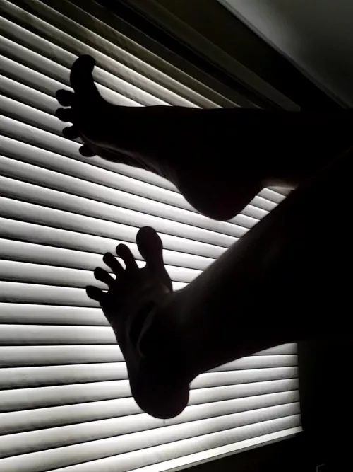 Silhouettoes by mycelium_mother_