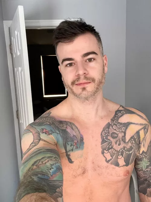 Silver fox in training by ONU202287