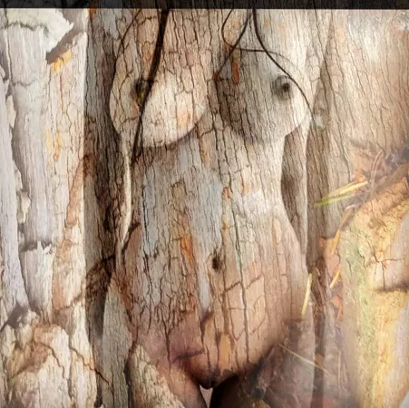 Silver scintillation - Today's Driftwood Muse by bumblebeelove23