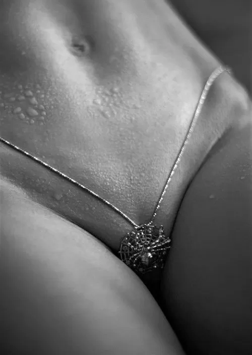 Silver Spider posted by lfo71