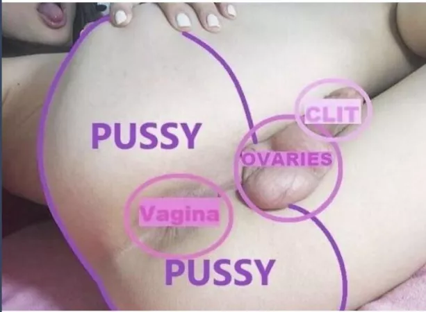 Simple biology by sadsabrina