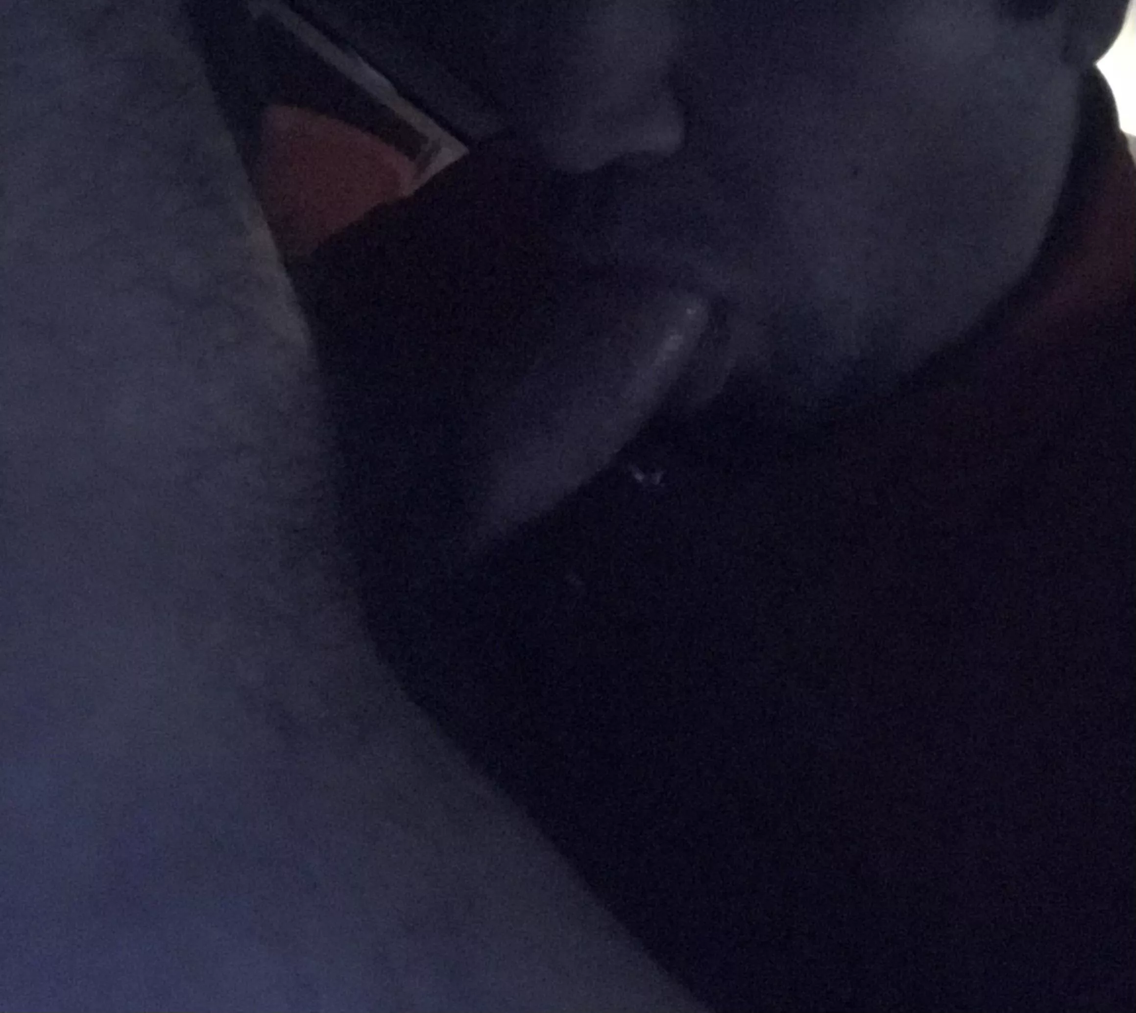 Since my last post seemed enjoyed, here is another. From November ‘17. On my lunch break, he picked me up and I gave him roadhead back to his house. Then I sucked him off for about 20 mins, he didn’t cum but had to get going so he dropped me off. posted by Cubs5230