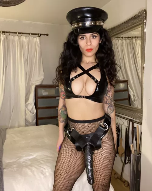 Since the last post got such good feedback by crashiti