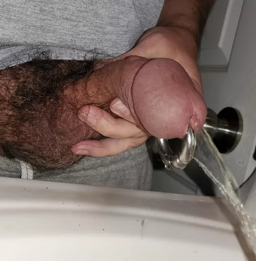 Sink piss by 7inlicker