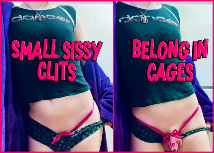Sissy Clits Belong in Cages