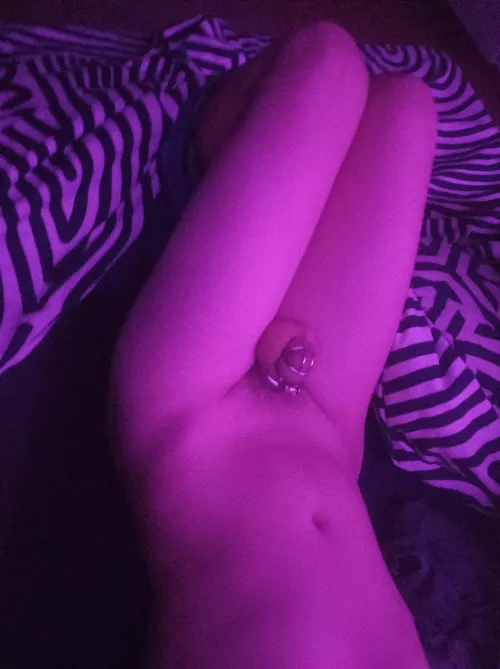 Sissy goals: Shrinking clitty on chastity, masturbate only by anal, and make content for you 😍🥵💕 by CozyLily