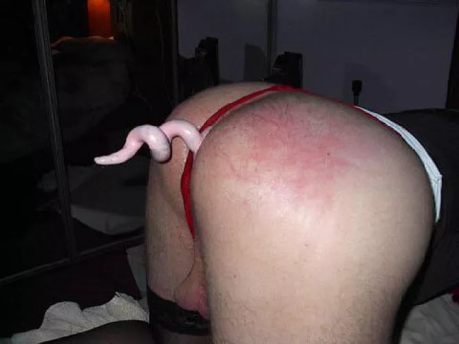 Sissy toilet pig looking for abusive alphas. Kik swallow2theballs by CumWhoreNY