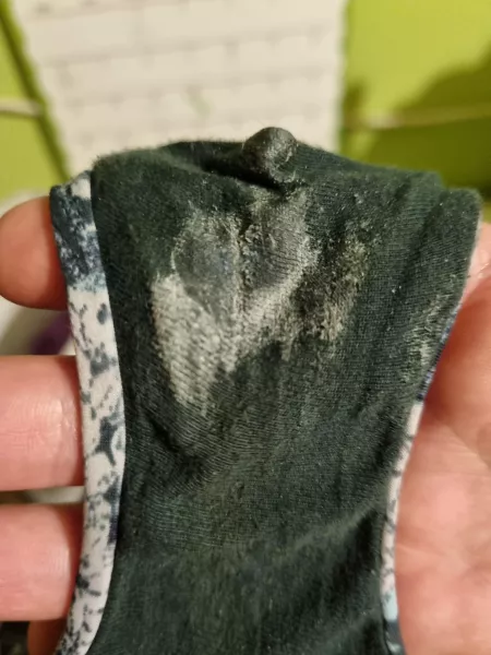 Sisters by EmploymentRare6451