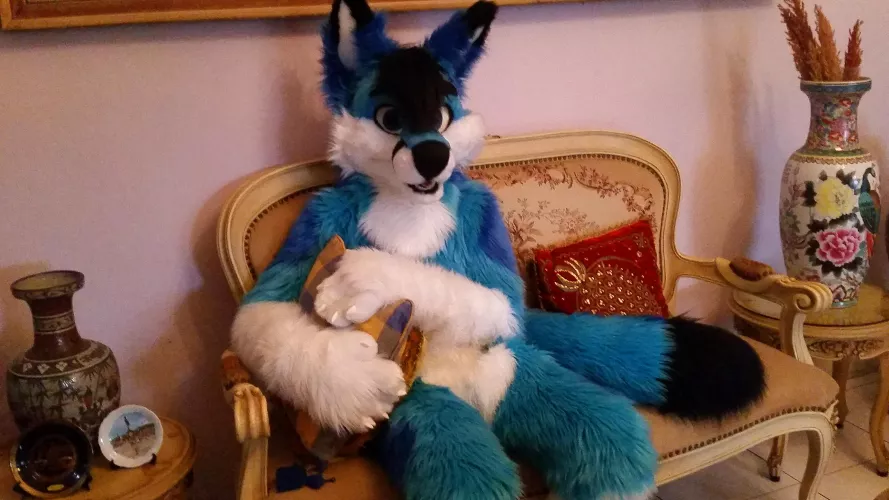 Sit next to me? Please? by spiritofniter